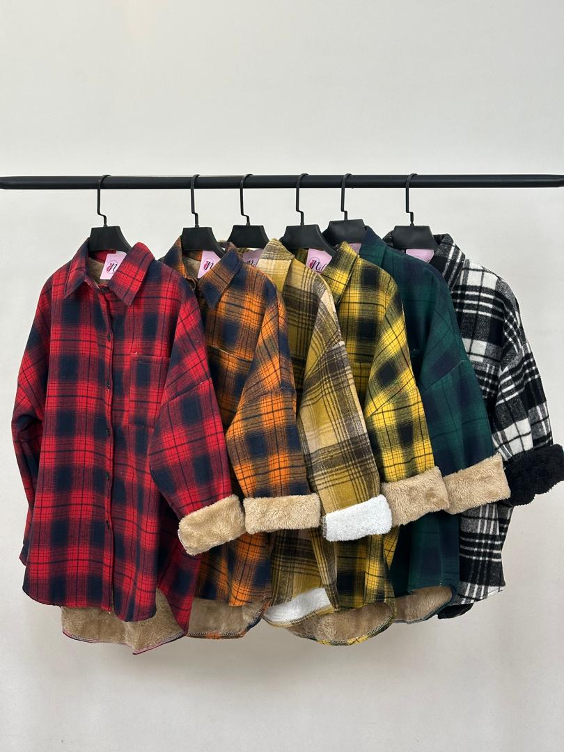 شکت داخل تدی وارداتی